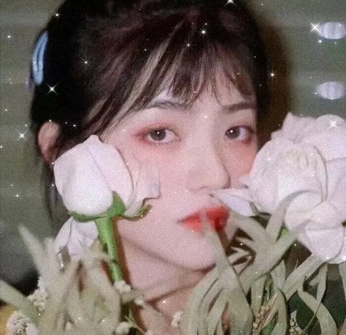 深宫遗梦